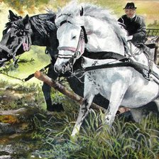 Схема вышивки «№249644»