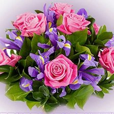 Схема вышивки «№249744»