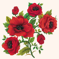 Схема вышивки «МАКИ»