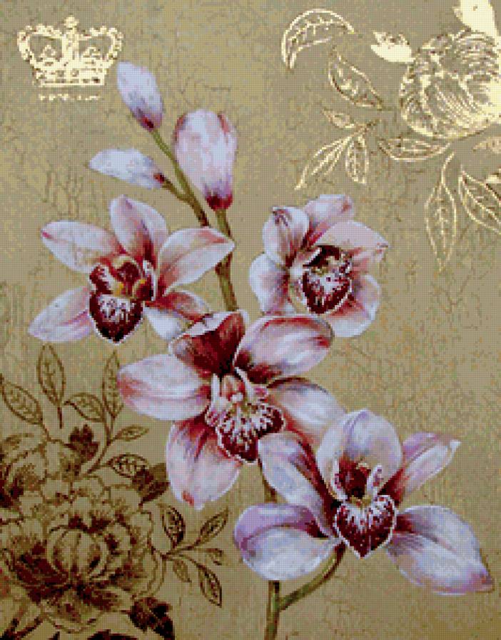 КОРОЛЕВСКИЕ ОРХИДЕИ - орхидея, букет, цветы - предпросмотр