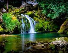 Схема вышивки «№249785»