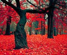 Схема вышивки «№249799»