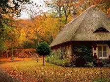 Схема вышивки «№249804»