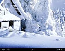 Схема вышивки «№249811»