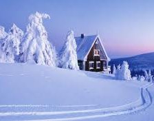 Схема вышивки «№249812»