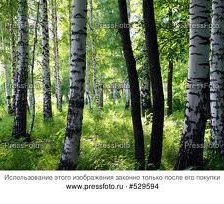 Схема вышивки «№249820»