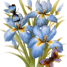 Схема вышивки «№250251»