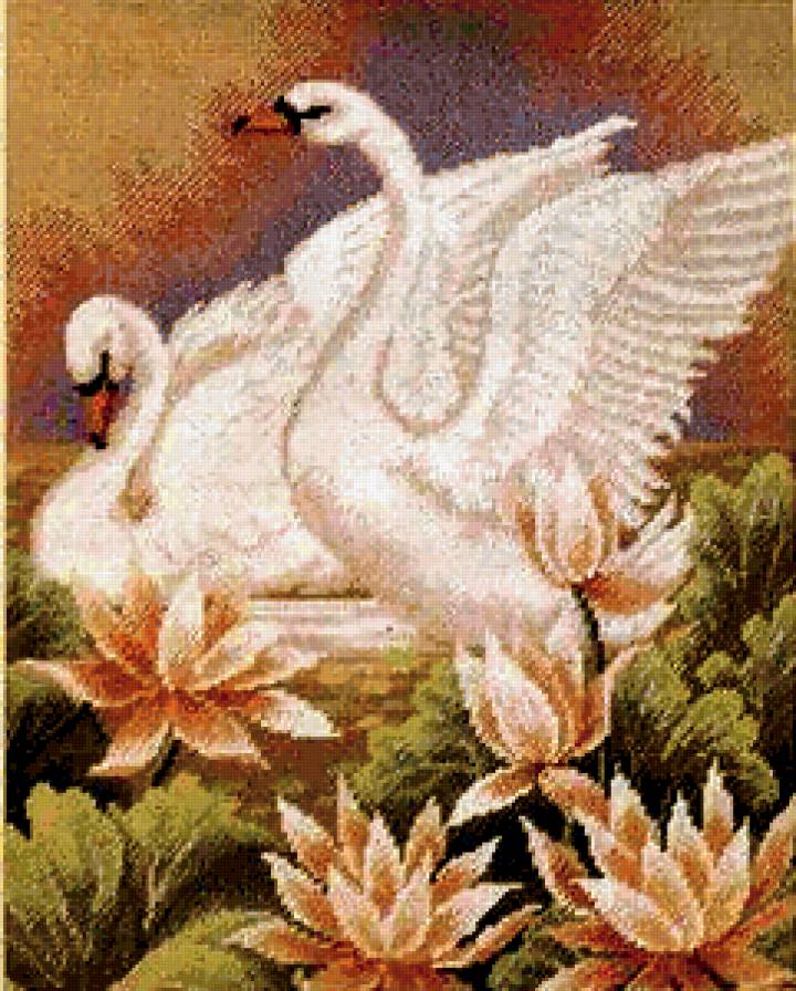 Лебединая пара - лебеди, птицы - предпросмотр