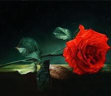 Схема вышивки «№250459»