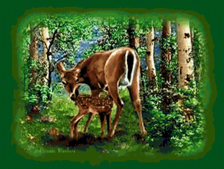 №250466 - природа, олени, лес, животные - предпросмотр