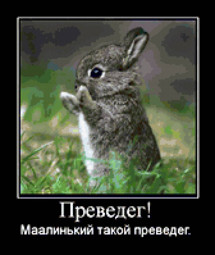 зайка - предпросмотр