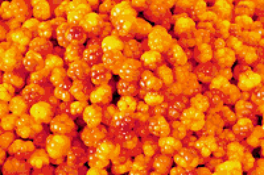 Морошка - морошка - предпросмотр