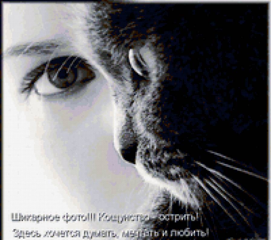 дружба - предпросмотр