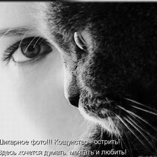 Схема вышивки «дружба»