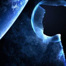 кошка при луне