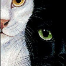 Схема вышивки «кошки»