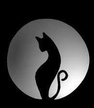 Схема вышивки «кошки»