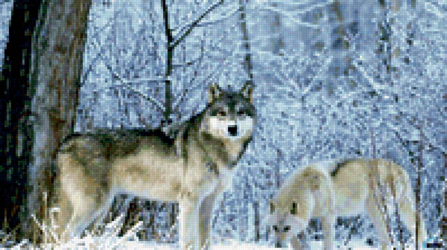 ВОЛКИ - предпросмотр