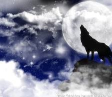 Схема вышивки «волк»