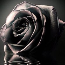 Схема вышивки «Черная»