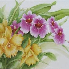 Схема вышивки «букет орхидей»