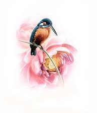 Схема вышивки «№251101»