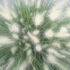 Схема вышивки «№251219»