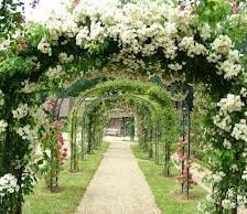 Схема вышивки «№251271»