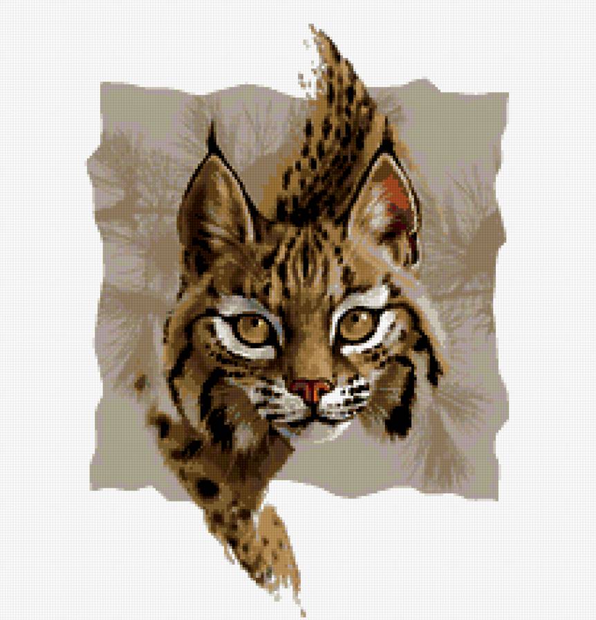 рысь - хищники, животные, кошки - предпросмотр