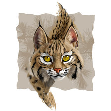 Схема вышивки «рысь»