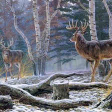 Схема вышивки «Два оленя»