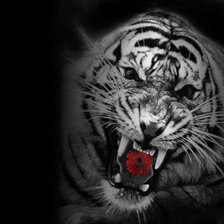 Схема вышивки «тигра»