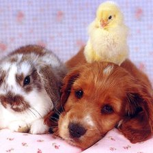 Схема вышивки «дружба»