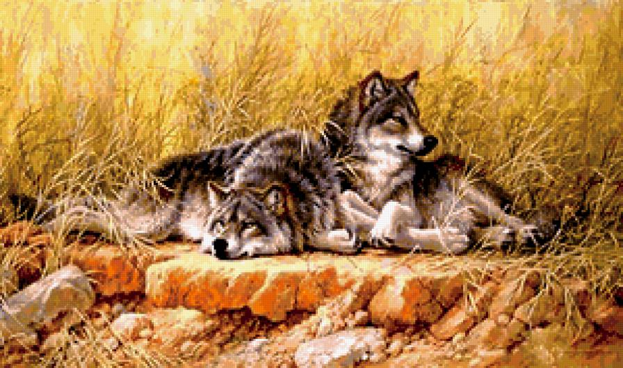 №251476 - предпросмотр