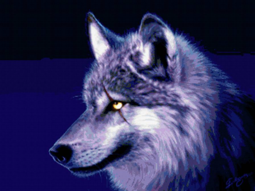 волк - волк - предпросмотр