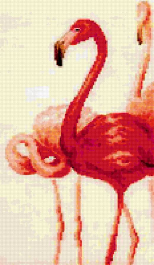 фламинго - предпросмотр