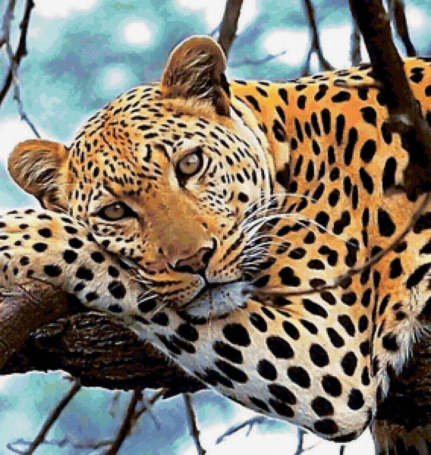 Variant 3 - предпросмотр