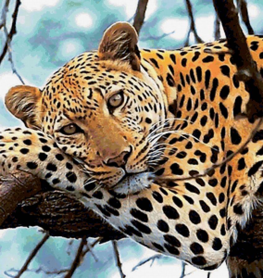 Variant 4 - предпросмотр