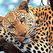 Схема вышивки «Variant 5»