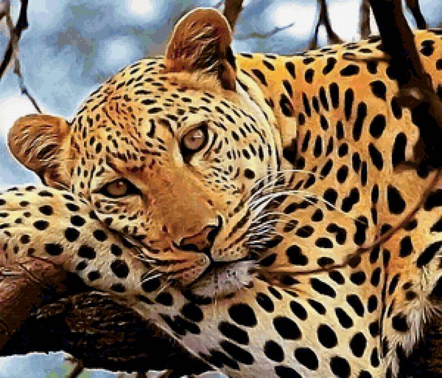 Variant 6 - предпросмотр