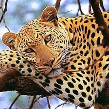 Схема вышивки «Variant 7»