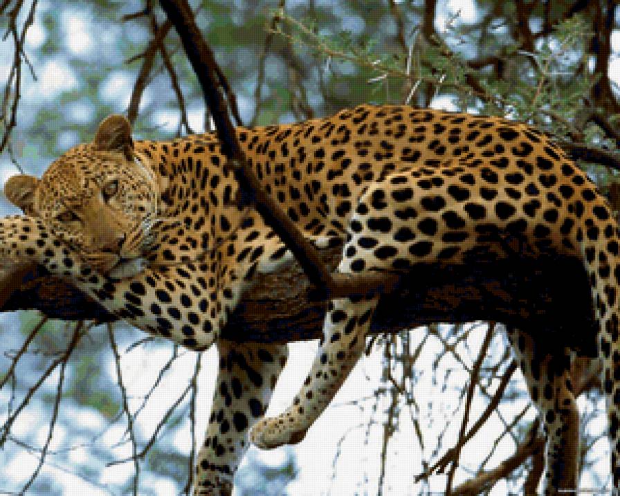 ishodnik - предпросмотр