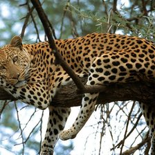 Схема вышивки «ishodnik»