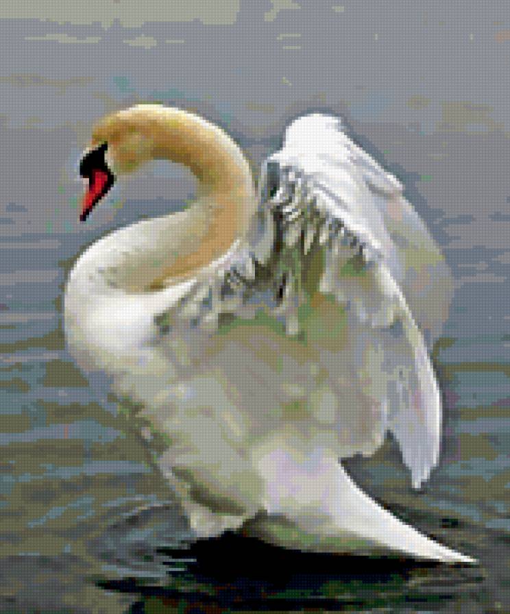 лебедь - предпросмотр