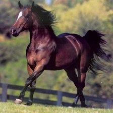 Схема вышивки «Просторы»