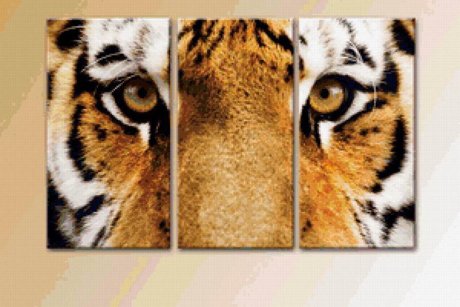 Триптих - триптих, кот, тигр, кися, котик, животные - предпросмотр