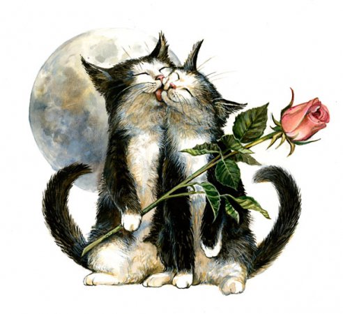 Милашки - роза, нежность, коты, животные, любовь, кися, кот, котик - оригинал