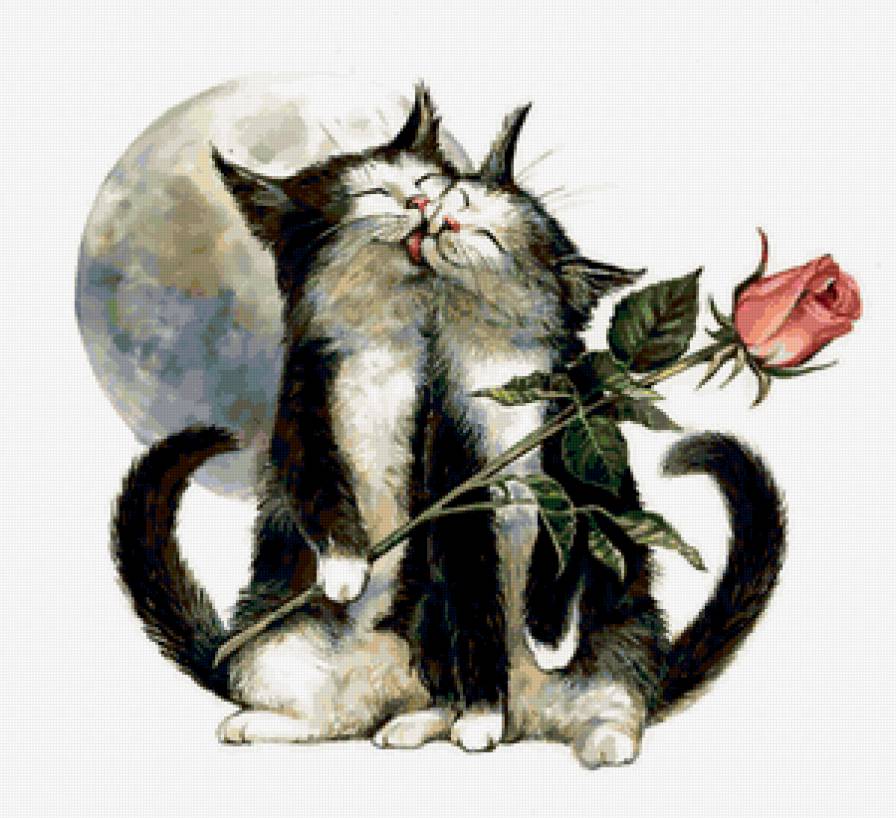 Милашки - нежность, животные, коты, кот, роза, любовь, кися, котик - предпросмотр