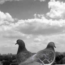 Схема вышивки «№251730»