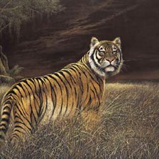 Схема вышивки «Сумерки в саванне 1»